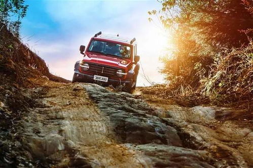 汽车越野冲车得多少 汽车越野冲车得多少