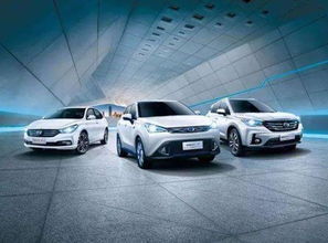 增城汽车冬天续航多少 增城汽车冬天续航多少