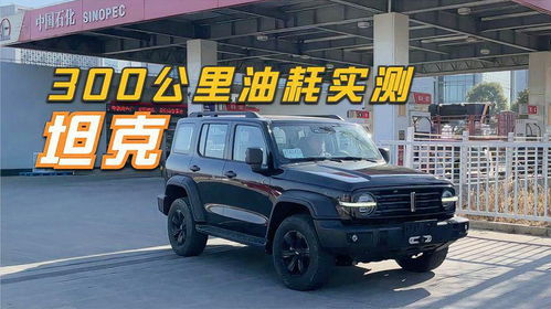 坦克300汽车耗油多少