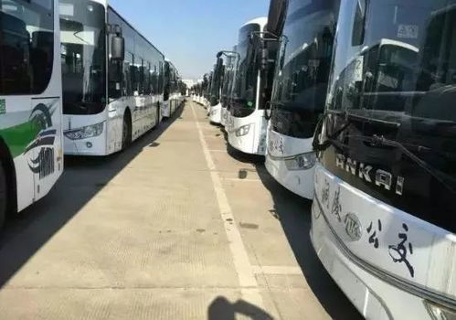 嘉兴至铜陵汽车多少 嘉兴至铜陵汽车多少