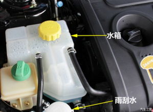 汽车水箱水温多少朵 汽车水箱水温多少朵