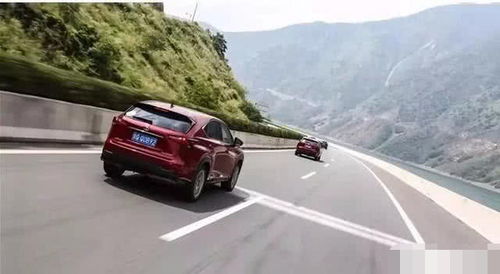 汽车最多跑了多少公里 汽车最多跑了多少公里