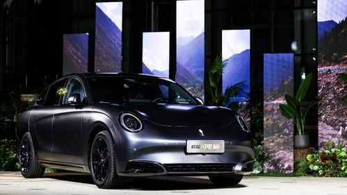 闪电猫汽车多少万 闪电猫汽车多少万