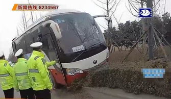 汽车冲入花坛赔偿多少 汽车冲入花坛赔偿多少