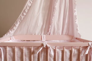 汽车蚊帐多少钱 汽车蚊帐多少钱