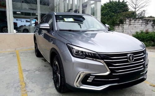 汽车离山崖多少公里