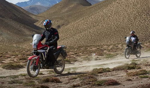 新大洲汽车多少kg 新大洲汽车多少kg