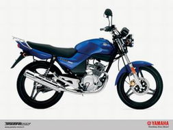 新大洲汽车多少kg 新大洲汽车多少kg