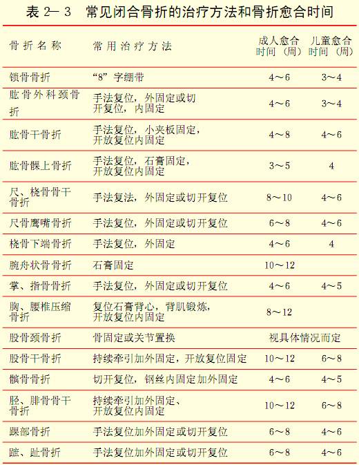 汽车人保险报多少 汽车人保险报多少