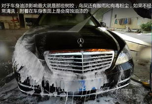 汽车树胶多少钱 汽车树胶多少钱