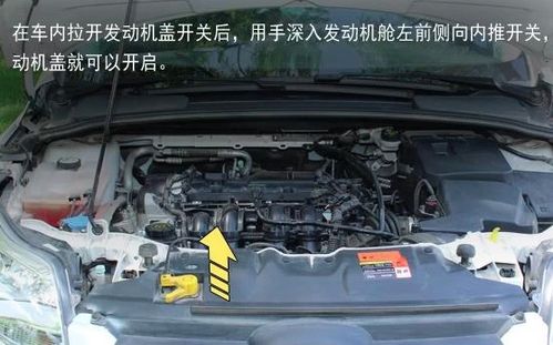 汽车机舱垫高多少合适 汽车机舱垫高多少合适