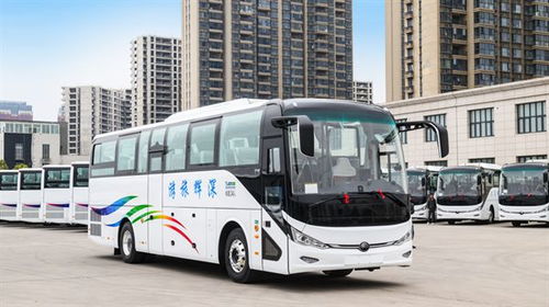 新疆旅游汽车多少辆 新疆旅游汽车多少辆