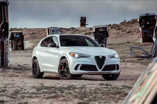 俄罗斯汽车排量多少 俄罗斯汽车排量多少