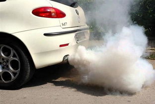 汽车排气多少种颜色 汽车排气多少种颜色