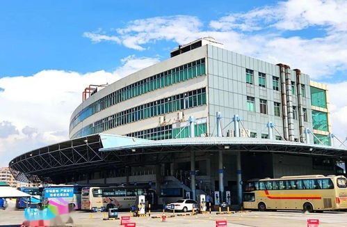 汕尾多少汽车站