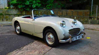 奥斯汀汽车价格多少