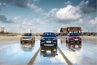 马钢卖出了多少汽车