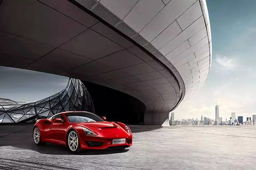 fpj汽车大师多少厘米 fpj汽车大师多少厘米