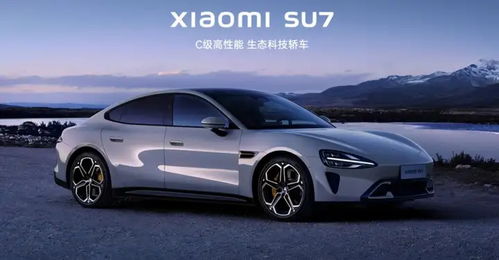 小米汽车首定多少 小米汽车首定多少