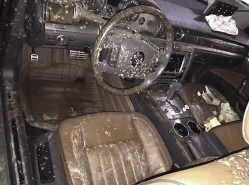 汽车泡水还能卖多少 汽车泡水还能卖多少