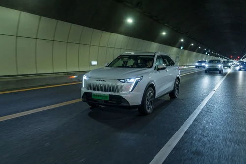 枭龙汽车油耗多少