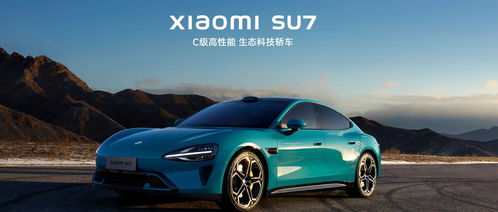 小米汽车破多少亿