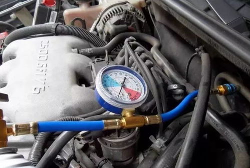 汽车加雪种多少匹 汽车加雪种多少匹