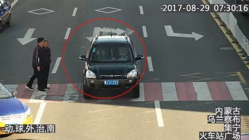 汽车违法有多少条 汽车违法有多少条