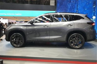 奇瑞汽车中国排名多少 奇瑞汽车中国排名多少