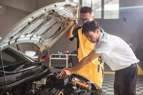 汽车加工利润有多少