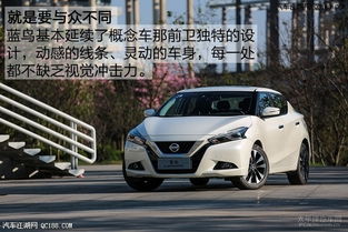 蓝鸟汽车油耗是多少 蓝鸟汽车油耗是多少