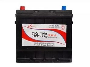 汽车骆驼电瓶电压多少 汽车骆驼电瓶电压多少