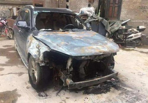 汽车撞倒猪血赔偿多少 汽车撞倒猪血赔偿多少