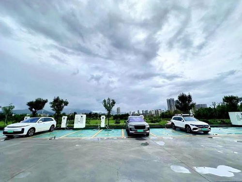 邹平汽车电台是多少 邹平汽车电台是多少