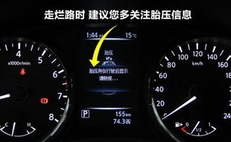 汽车比人少油耗多少 汽车比人少油耗多少