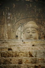 龙门石窟千年菩提已开出满树繁花