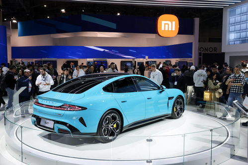 赛道汽车多少钱