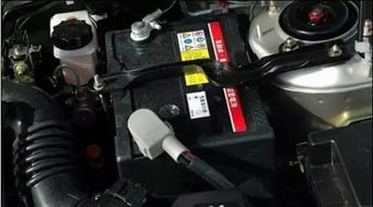 汽车电瓶每日电压多少