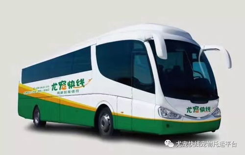 打包汽车多少钱 打包汽车多少钱