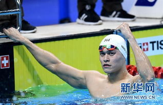 孙杨800米自由泳退赛 孙杨800米自由泳退赛