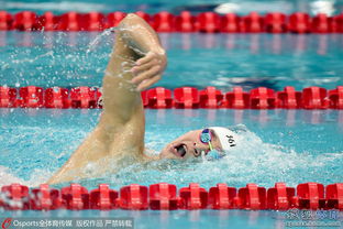 孙杨800米自由泳退赛 孙杨800米自由泳退赛