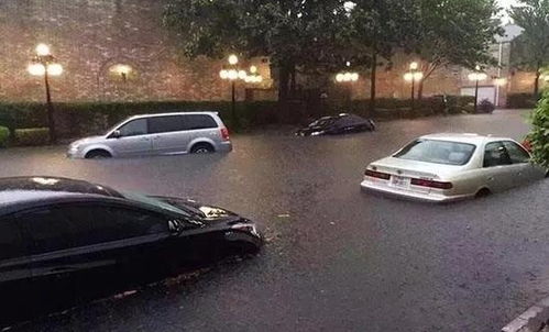 汽车多少高度会进水 汽车多少高度会进水