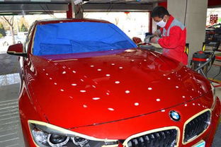 汽车蜡分为多少种