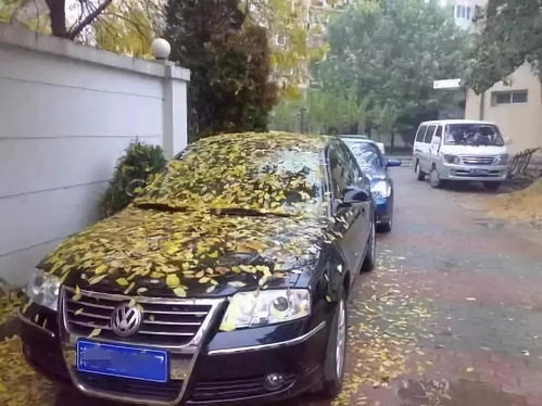 汽车跑到多少公里最好 汽车跑到多少公里最好