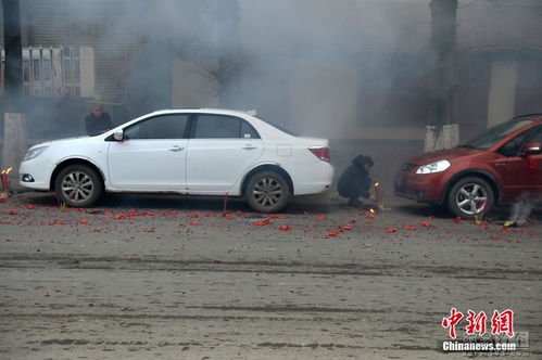 汽车能装多少活鸡 汽车能装多少活鸡