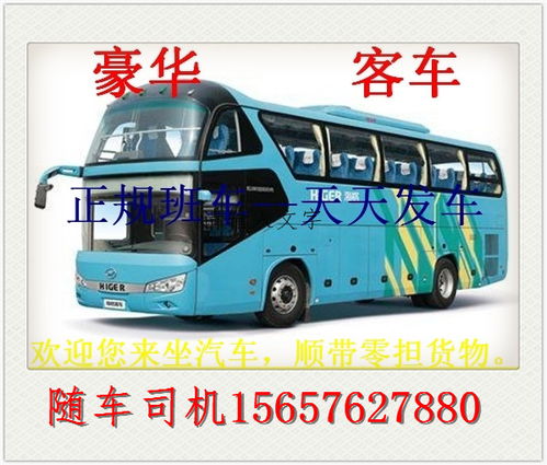 龙港汽车多少钱 龙港汽车多少钱