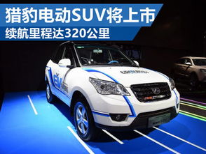 猎豹汽车漏电多少正常 猎豹汽车漏电多少正常