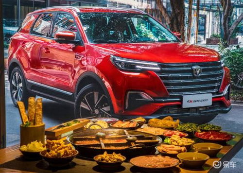 中国有多少长安汽车 中国有多少长安汽车