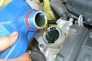 汽车保养换机费用多少