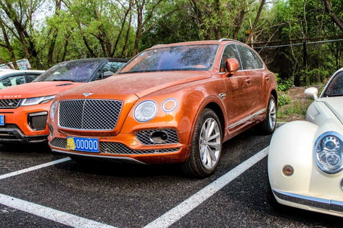 福建多少台宾利汽车